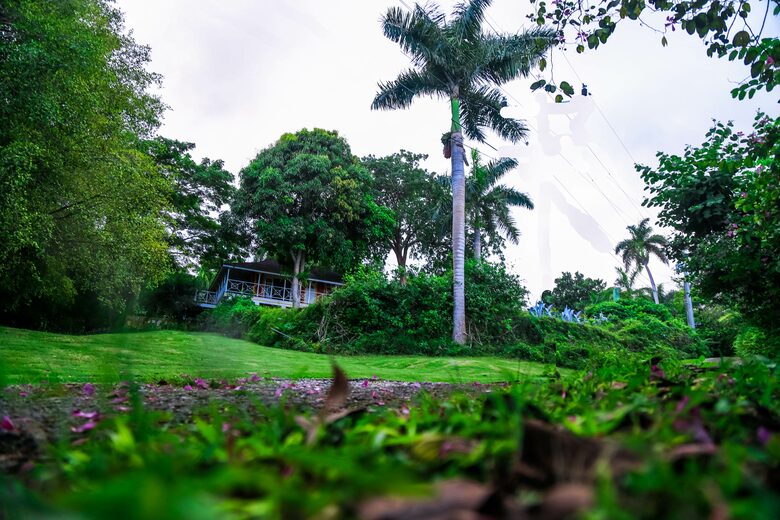 Willow's Estates - St Ann's Bay, Jamaica