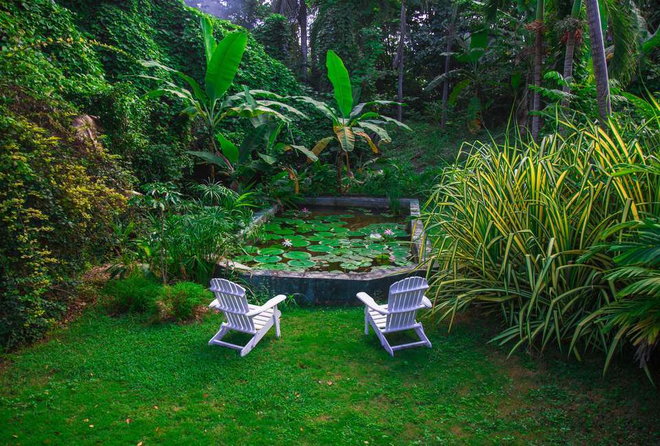 Willow's Estates - St Ann's Bay, Jamaica