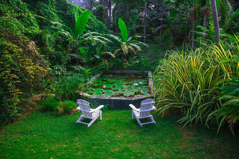 Willow's Estates - St Ann's Bay, Jamaica