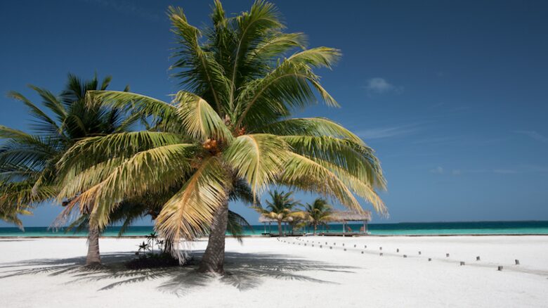 Royal Belize Private Island - Ragged Caye, Belize