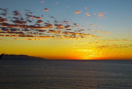 Alma Colectiva - Bahia de Banderas, Mexico