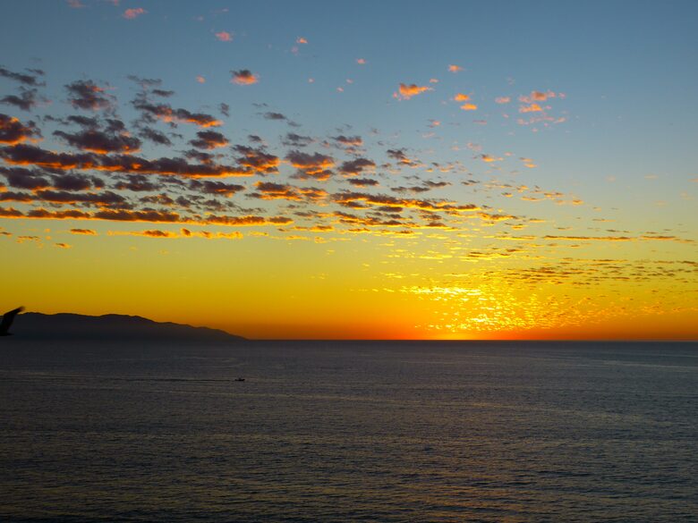 Alma Colectiva - Bahia de Banderas, Mexico
