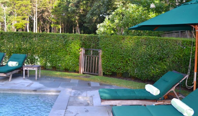 Kola Grounds - Southampton, New York