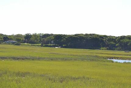 Kola Grounds - Southampton, New York