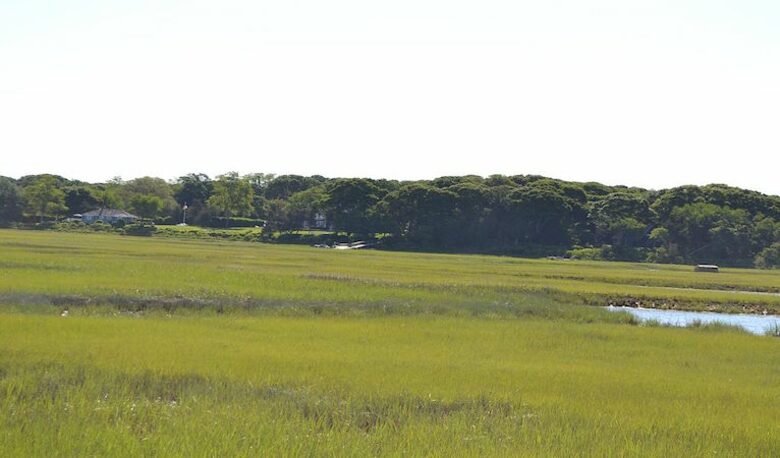 Kola Grounds - Southampton, New York