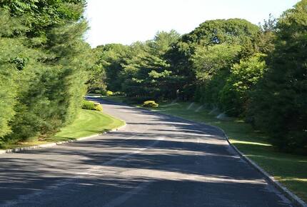 Kola Grounds - Southampton, New York