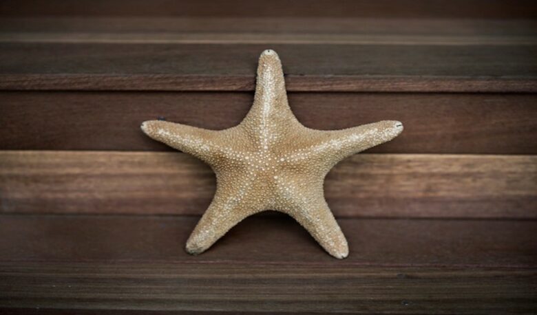 He'emanu Hawaiian Home - Hanalei, Kauai, Hawaii