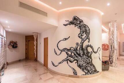 Alma Colectiva - Bahia de Banderas, Mexico