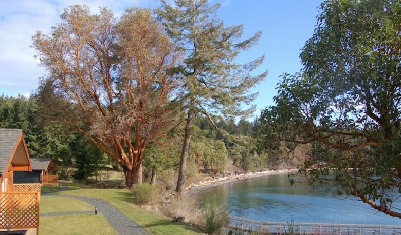 Mayne Island Luxury Cottage - Mayne Island, Canada