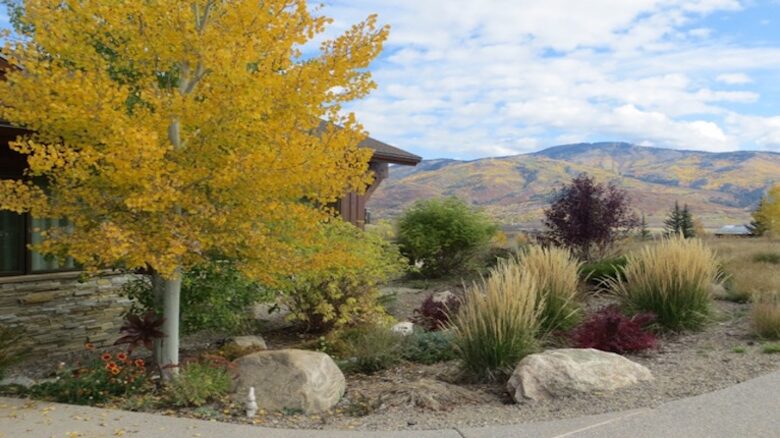 Steamboat Modern Mountain Retreat - Steamboat Springs, Colorado