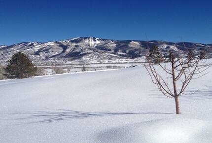 Steamboat Modern Mountain Retreat - Steamboat Springs, Colorado