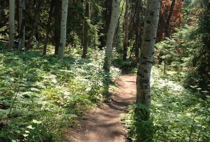 Steamboat Modern Mountain Retreat - Steamboat Springs, Colorado