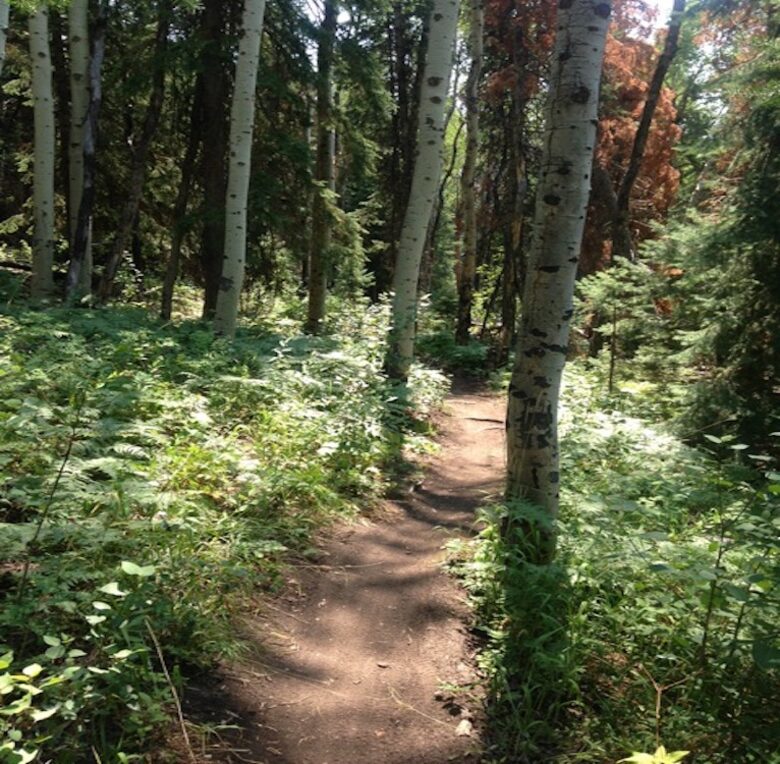 Steamboat Modern Mountain Retreat - Steamboat Springs, Colorado