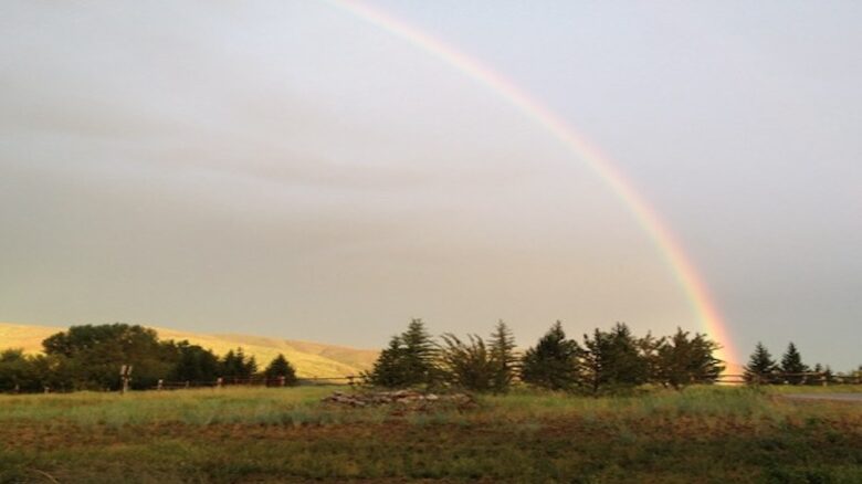 Steamboat Modern Mountain Retreat - Steamboat Springs, Colorado