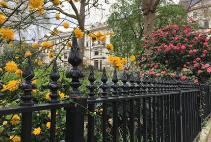 The Garden View Flat - London, United Kingdom