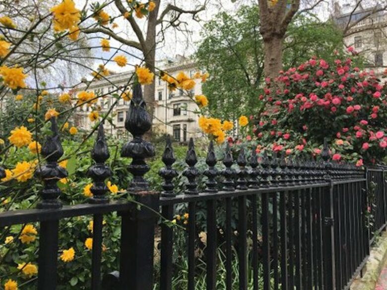 The Garden View Flat - London, United Kingdom