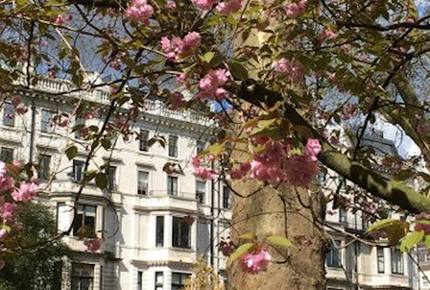 The Garden View Flat - London, United Kingdom