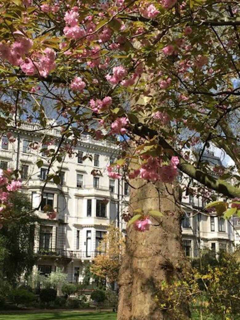 The Garden View Flat - London, United Kingdom