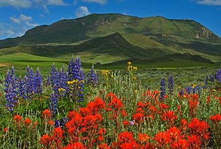 Sheraton Steamboat Luxury Villa - Steamboat Springs, Colorado