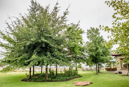 Cape Winelands Villa - Paarl, South Africa