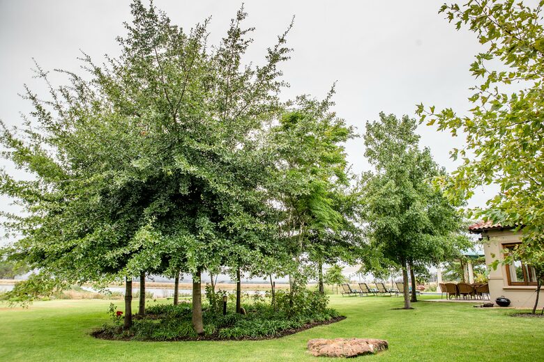 Cape Winelands Villa - Paarl, South Africa