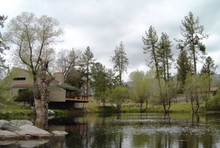 Writer's Mountain Retreat - Idyllwild-PineCove, California