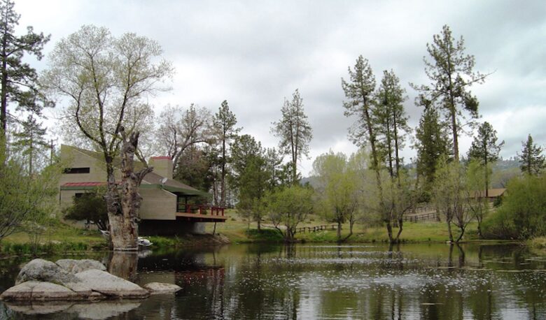 Writer's Mountain Retreat - Idyllwild-PineCove, California
