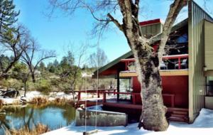 Writer's Mountain Retreat - Idyllwild-PineCove, California