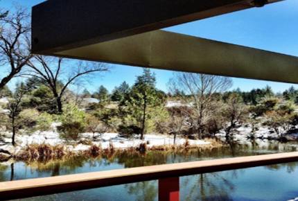 Writer's Mountain Retreat - Idyllwild-PineCove, California