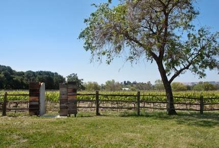 Modern Rustic Beauty - Sonoma, California