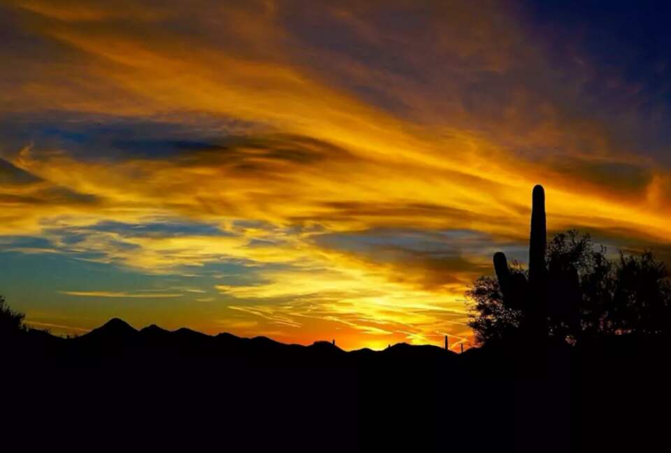 North Scottsdale Sanctuary - Cave Creek, Arizona