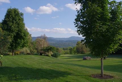 One Hundred Acre Wood - Stowe, Vermont