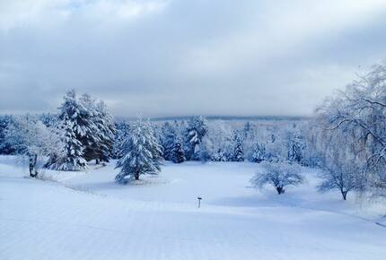 One Hundred Acre Wood - Stowe, Vermont