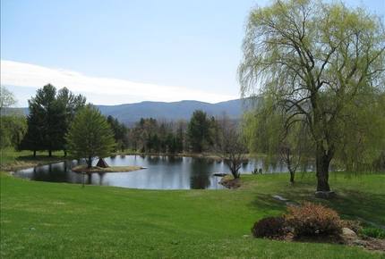 One Hundred Acre Wood - Stowe, Vermont