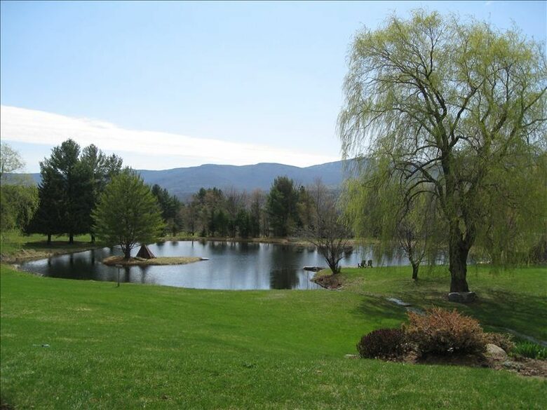 One Hundred Acre Wood - Stowe, Vermont