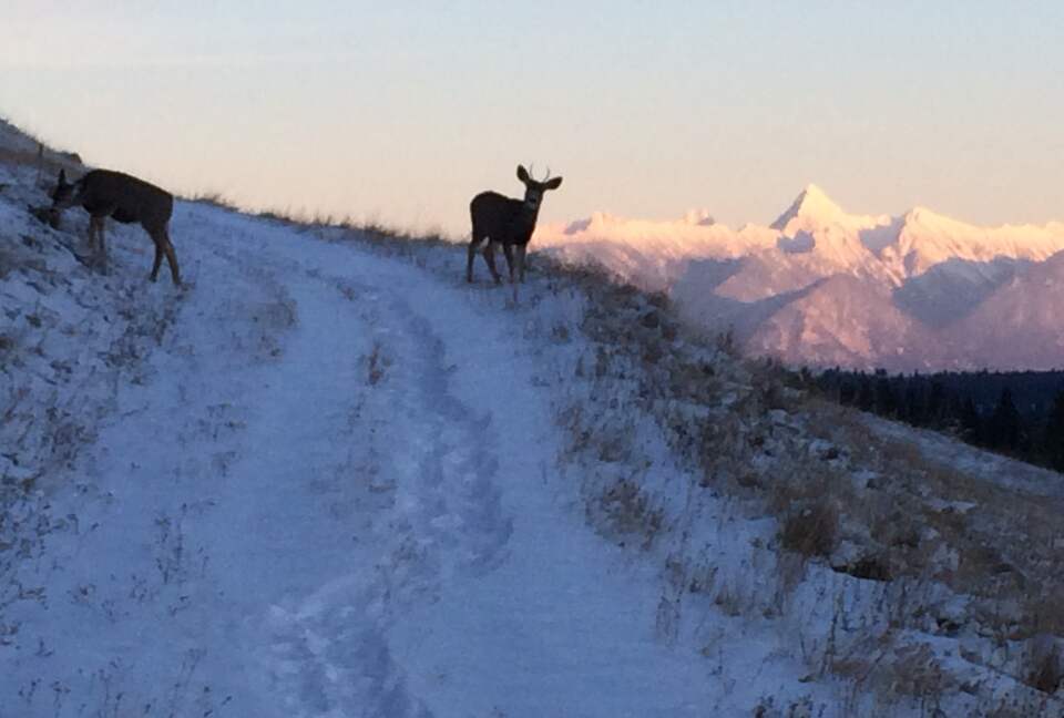 Luxury Log Cabin in the Mountains of British Columbia - Kimberley, Canada