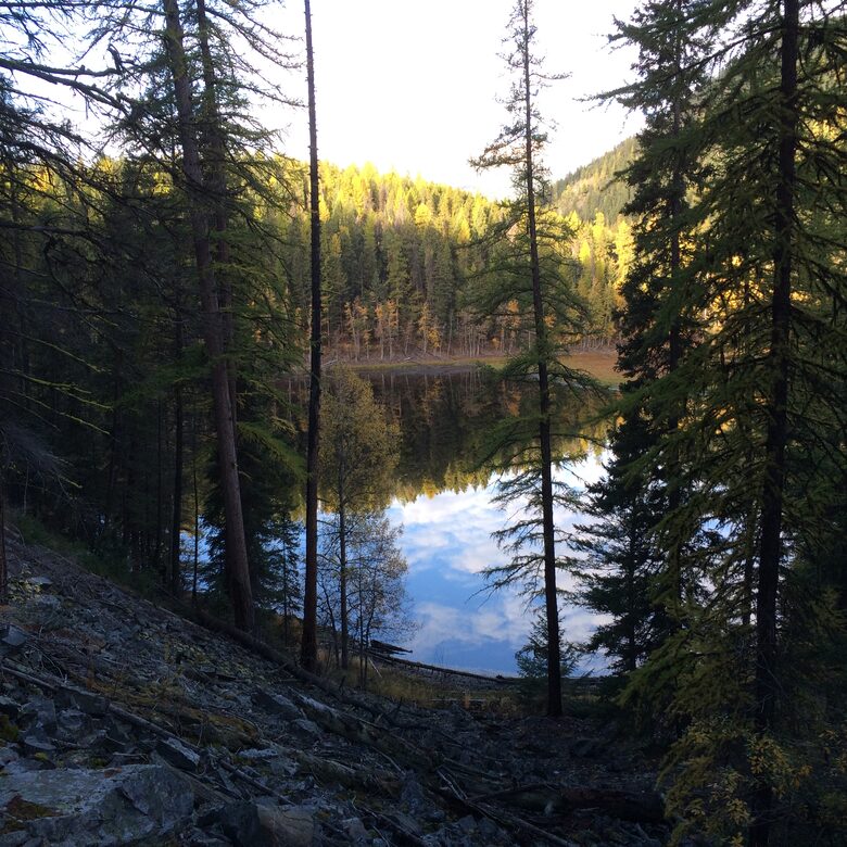 Luxury Log Cabin in the Mountains of British Columbia - Kimberley, Canada