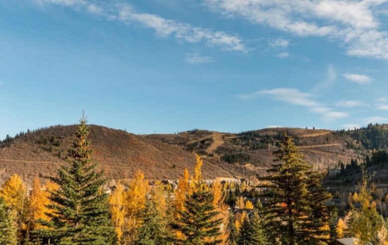 Ultimate Deer Valley Experience - Deer Valley, Utah