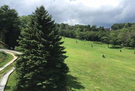 Laurel Mountain Getaway - Near Seven Springs Ski Resort - Champion, Pennsylvania