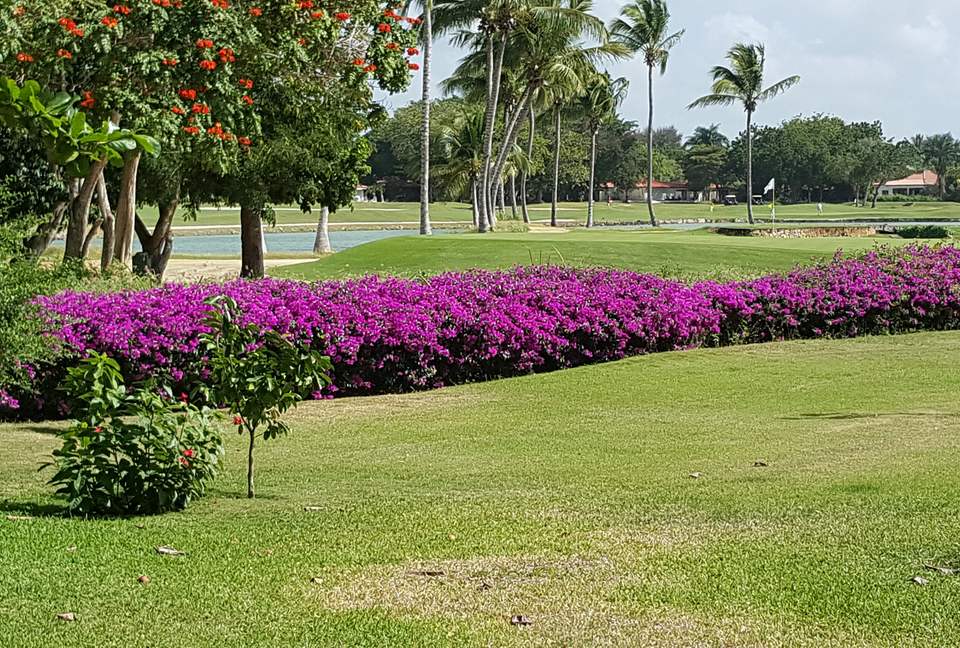 Tres Palmas Villa with gorgeous golf, lake & ocean horizon views - Casa de Campo, Dominican Republic