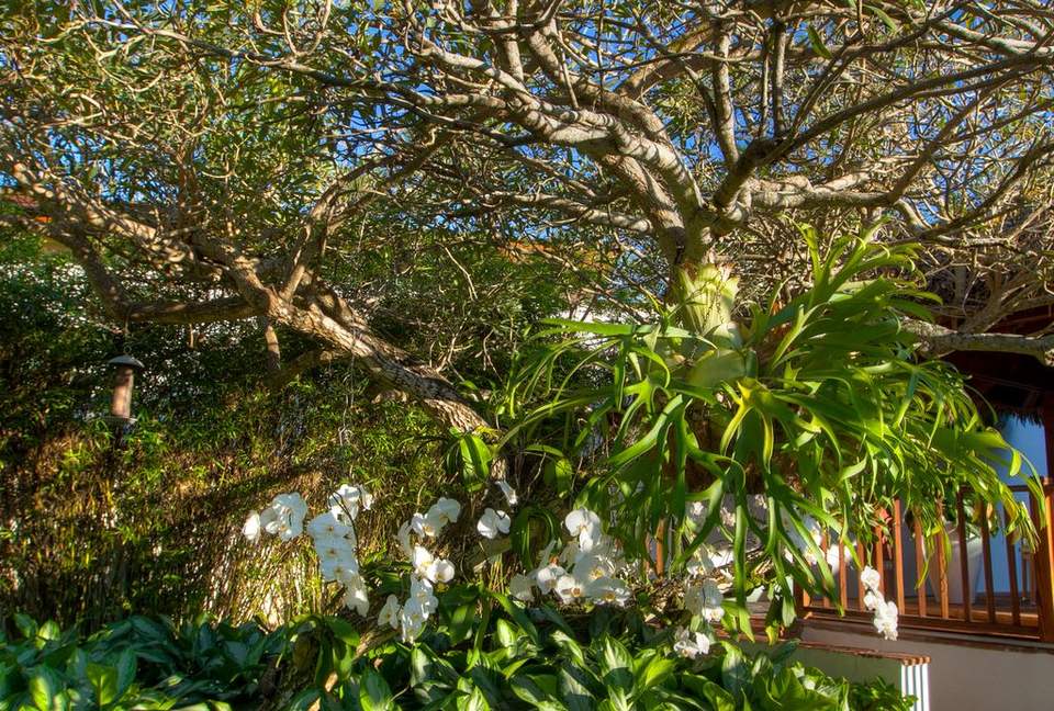 La Esperanza - Casa de Campo, Dominican Republic