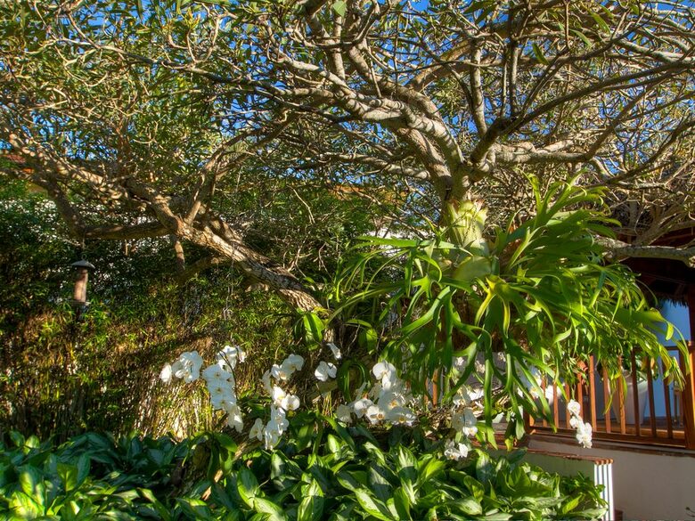 La Esperanza - Casa de Campo, Dominican Republic