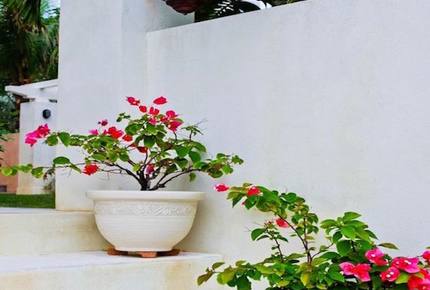 Casa del Mar - Harbour Island, Bahamas