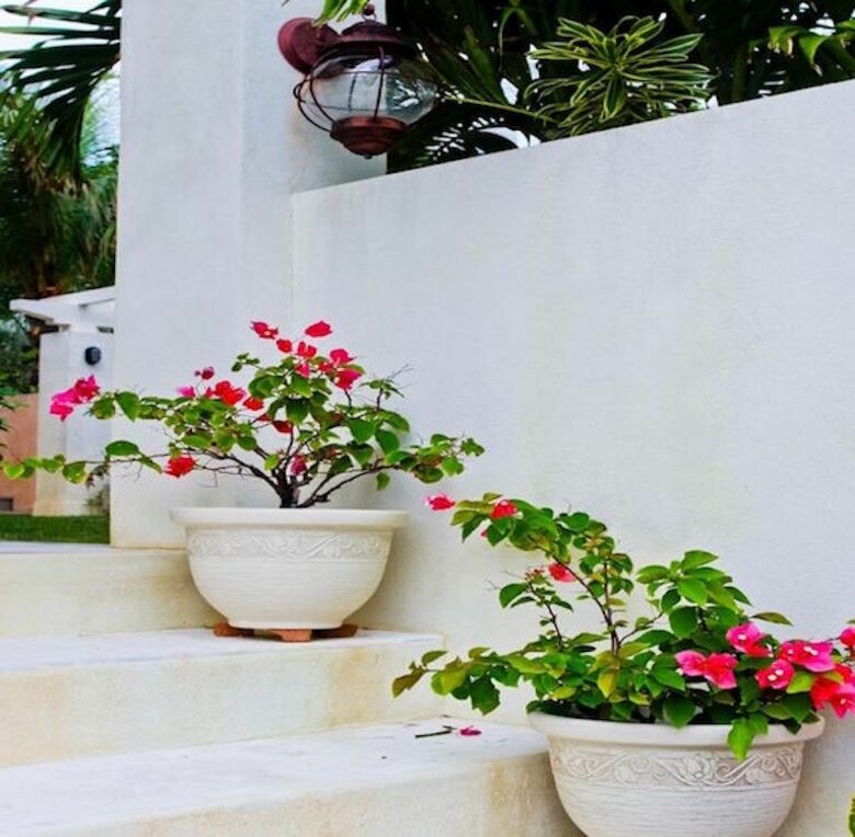 Casa del Mar - Harbour Island, Bahamas