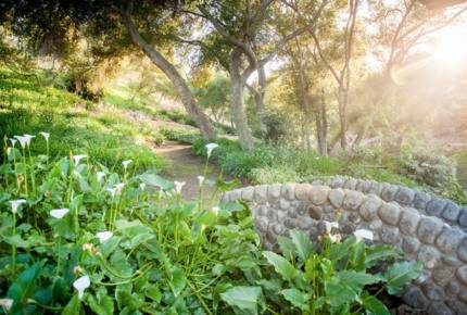 Le Rêve - Fallbrook, California