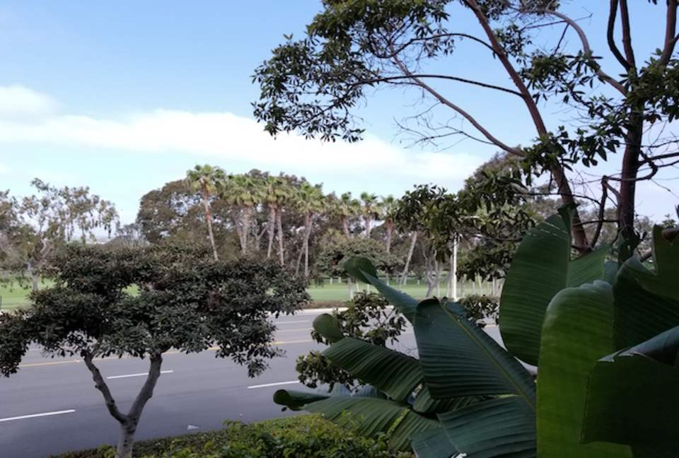 Newport Beach Executive Residence - Newport Beach, California