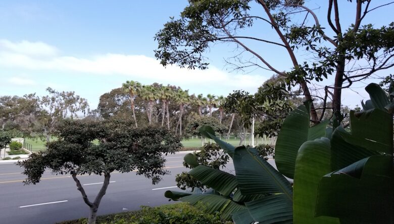 Newport Beach Executive Residence - Newport Beach, California