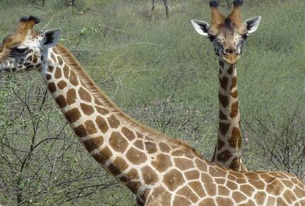 Samatian Island - EXCLUSIVE PRIVATE - Lake Baringo, Kenya