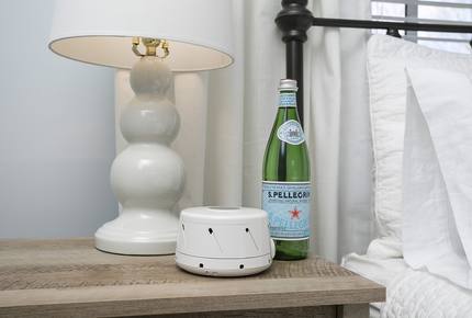 The Mouse House: Downtown Greenville - Greenville, South Carolina