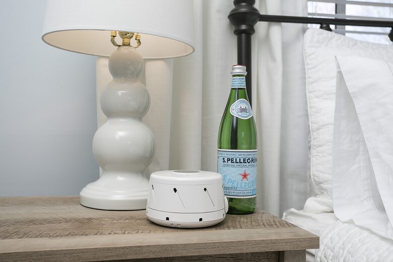 The Mouse House: Downtown Greenville - Greenville, South Carolina